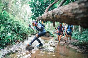 BIB: 
                            <button type="button" onclick="openModal(25373644)" class="btn btn-primary btn-sm float-right btn-popup" data-toggle="modal" data-target=".modal-high-quality">
                        <i class="fas fa-shopping-cart"></i> Add to Cart
                    </button>
                                            <button type="button" onclick="isThisMe(25373644, true)" class="btn btn-success btn-sm float-right btn-popup btn-isme hidden" data-toggle="tooltip" data-placement="bottom" title="นี่คือรูปของคุณใช่ไหม คลิกที่นี่เพื่อเอาเข้าอัลบั้ม">
                        <i class="fas fa-plus"></i> Add to album
                    </button>
                    <button type="button" onclick="isThisMe(25373644, false)" class="btn btn-warning btn-sm float-right btn-popup btn-isnotme hidden">
                        <i class="fas fa-ban"></i> Remove from album
                    </button>